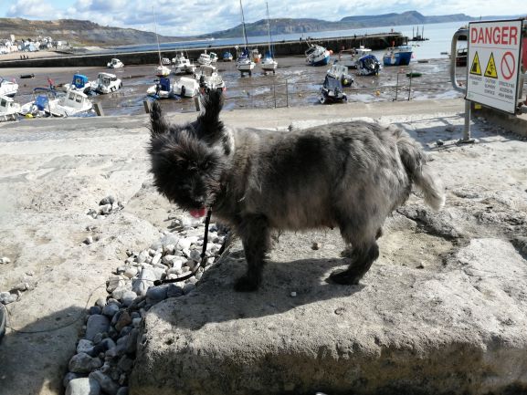 Abigail by the harbour.