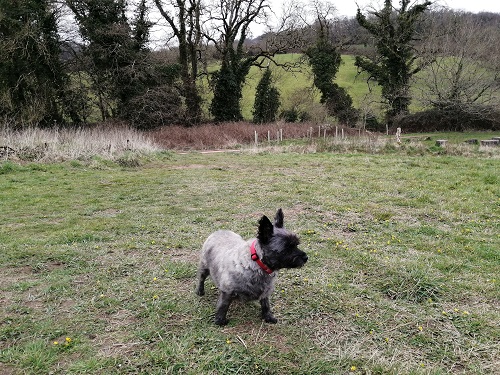 Abigail enjoy walks