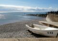 Dog-friendly beach, Sidmouth
