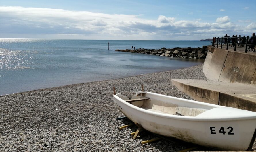 Sidmouth Is One Of East Devon’s Dog-friendly Gems