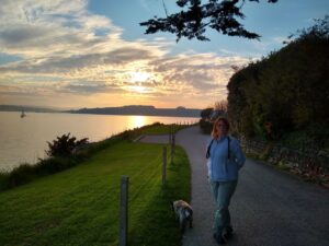 Sunset dog walk in St Mawes, Cornwall, Uk