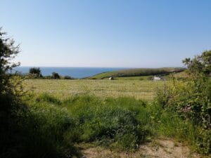 Roseland peninsula dog-friendly St Anthony’s head walk