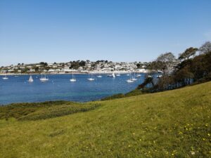 St Mawes Harbour Estuary views on the dog-friendly St Anothony's Head walk on the Roseland Peninsula Cornwall.