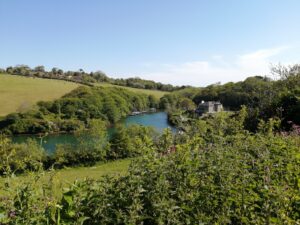 River views on the dog-friendly St Anothony's Head walk on the Roseland Peninsula Cornwall.