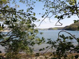 Estuary views on the dog-friendly St Anothony's Head walk on the Roseland Peninsula Cornwall.