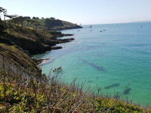 The coastline along the dog-friendly St Anothony's Head walk on the Roseland Peninsula Cornwall.