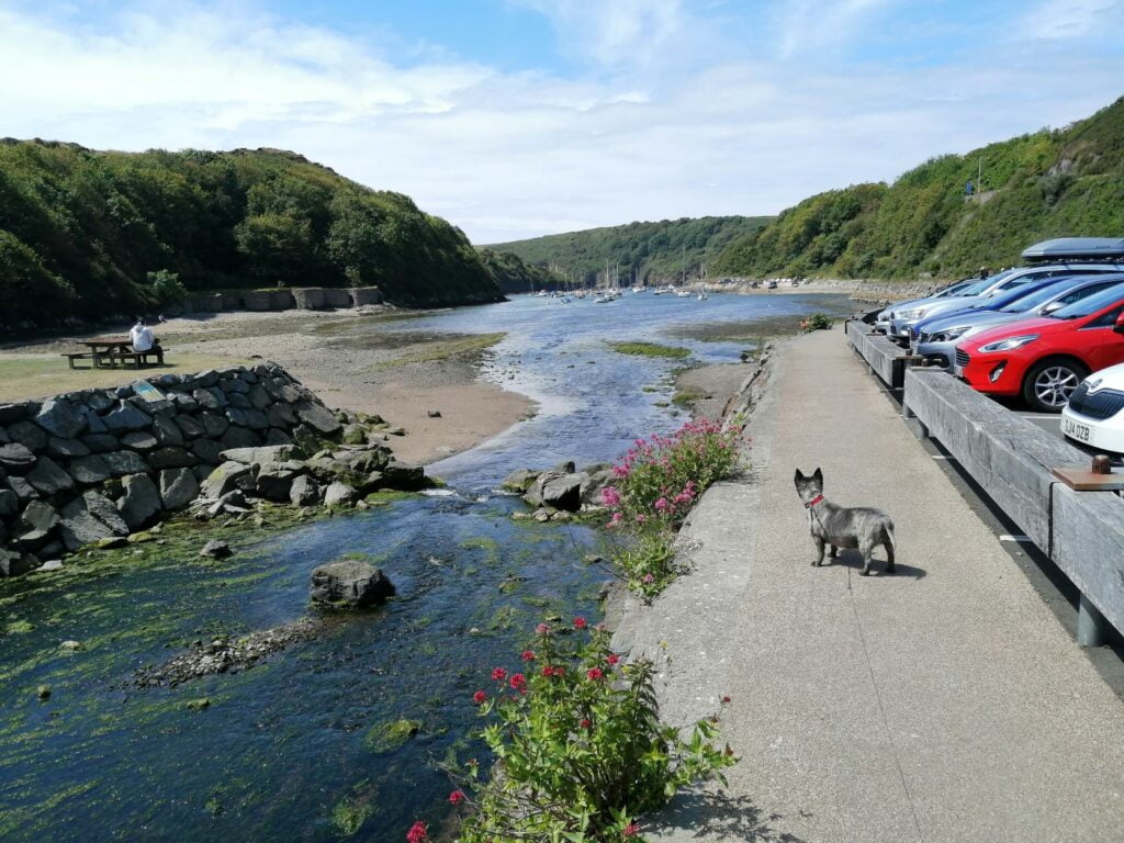 Solva harbour in Walses