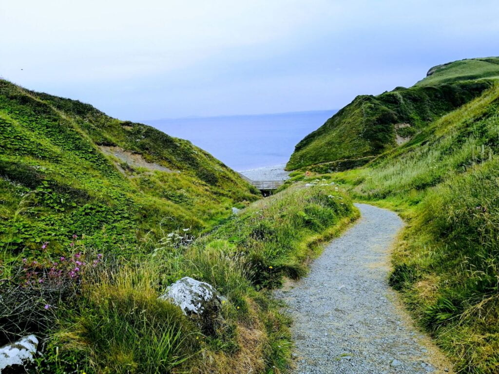 Coastal path - Druidston beach
