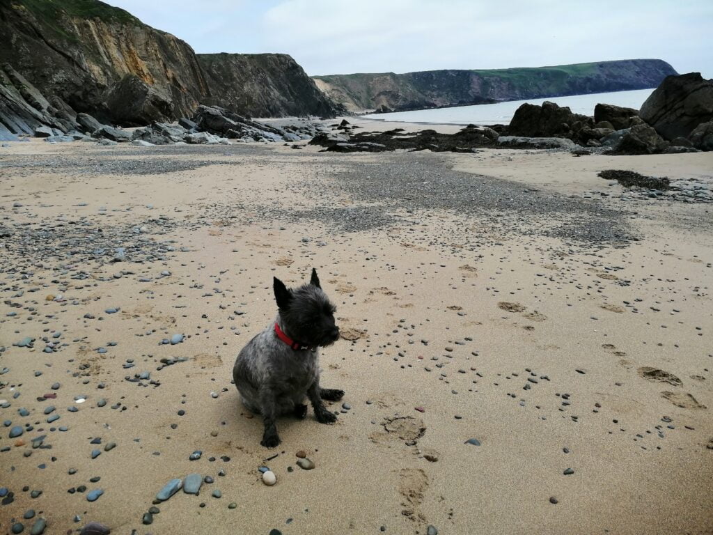 Marloe Sands in southwest Pembrokeshire
