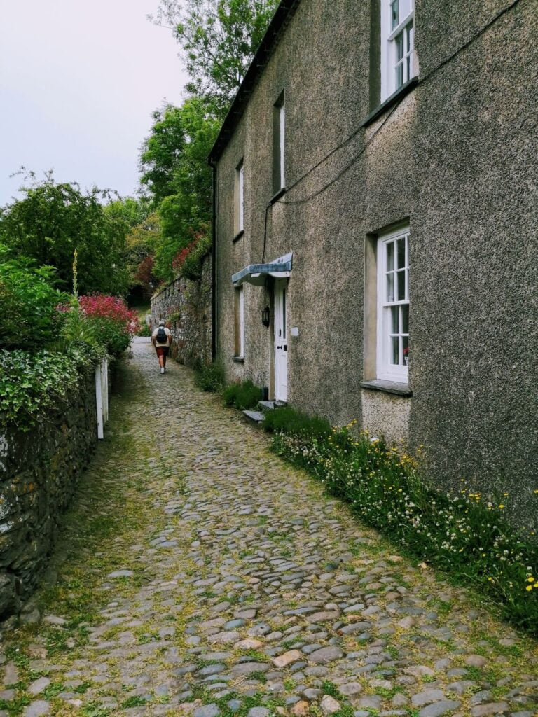 Dog-friendly cafe, St david's, Pembrokshire, Wales.