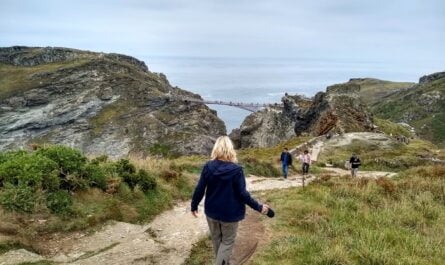 Dog walk along the coastal path at Tintagel in Cornwall