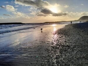 Sunset walk with own and dog on the beach.
