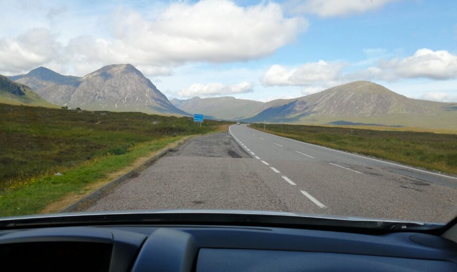 How to Make Travel to Europe With Your Dog Easy!