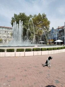 Dog friendly Varna, Black Sea Coast Bulgaria.