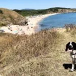 Dog-Friendly Sinemorets Beach, Black Sea Coast Bulgaria.
