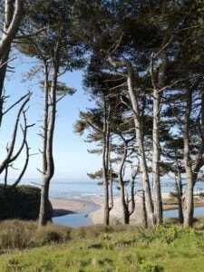 Dog-Friendly Walk: Otterton - Otter head