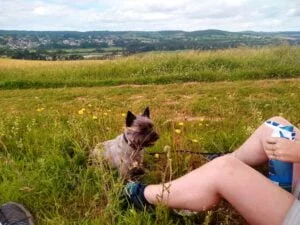 Dog-Friendly Walk Otterton to Budleigh Salterton Devon.