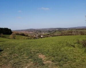 Dog-Friendly Walk: views of Otterton