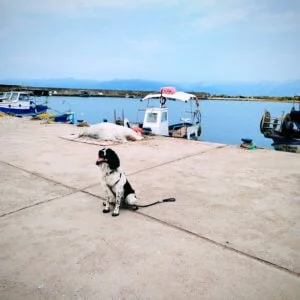 Petalidi harbour, Messinia