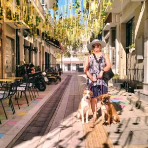 dogs in Messini Greece
