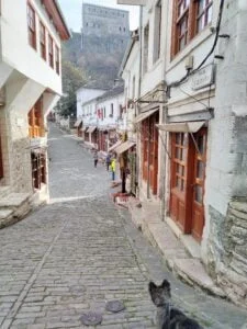 Abigail - Gjirokaster Street Bazaar