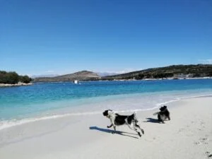 Dog-friendly Beach Ksmil Albania