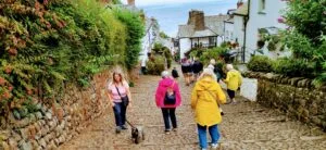 Dog-friendly Covelly, Devon, UK.