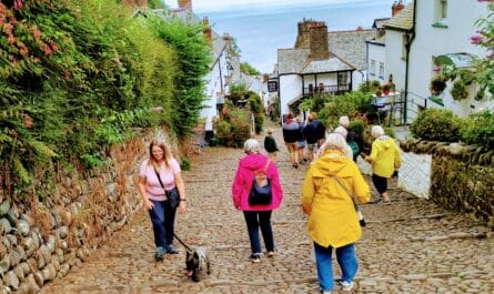 Dog-friendly Covelly, Devon, UK.