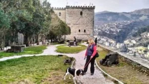 Dog-friendly Gjirokaster Castle, Albania