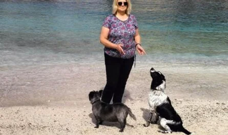 Me and my dogs