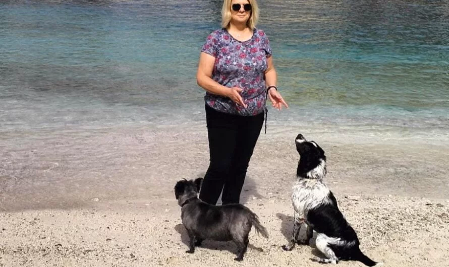 How To Train Your Dog to Be the Perfect Travel Companion   