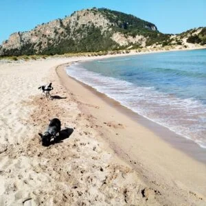 Dog-friendly Voidakila Beach in Messinia, Greece.