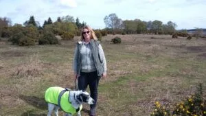 Dog-friendly autumn getaways in the new forrect, Hampshire