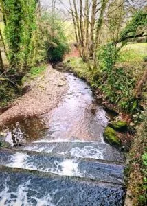 The River Gissage, Honiton, Devon