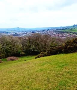 Roundball Hill dog-friendly Walk - Views