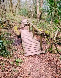 Roundball-Woods-Wooden-path