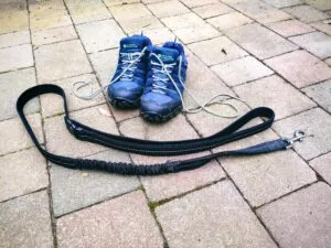 Walking boot and dog lead.