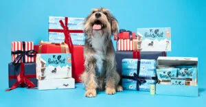 Festive gifts for dogs
