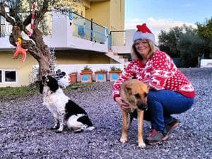 Lady wearing a Christmas Jumper and hat with two dogs