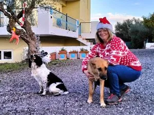 Lady wearing a Christmas Jumper and hat with two dogs