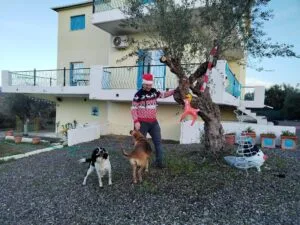 Christmas with our dogs.