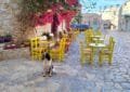 Dog-friendly Mani Peninsula - Areopoli