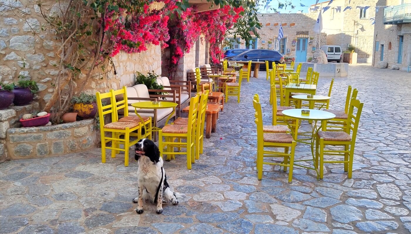 Dog-friendly Mani Peninsula - Areopoli