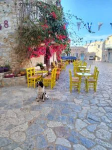 Dog-friendly Mani Peninsula - Areopoli - Greece.