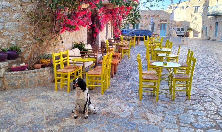 Dog-Friendly Greece: Explore The Hidden Mani With Your Dog! 