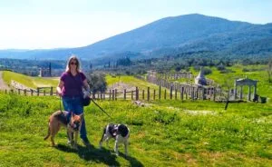 Dog-friendly Ancient Messini archaeological site near Kalamata, Greece