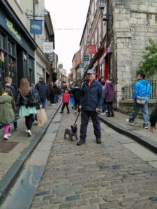 Dog-Friendly City of York.
