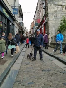 Dog-Friendly City of York.