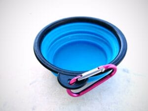 Collapsible travel dog Bowl