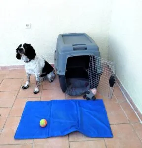 Travel dog crate accessiories